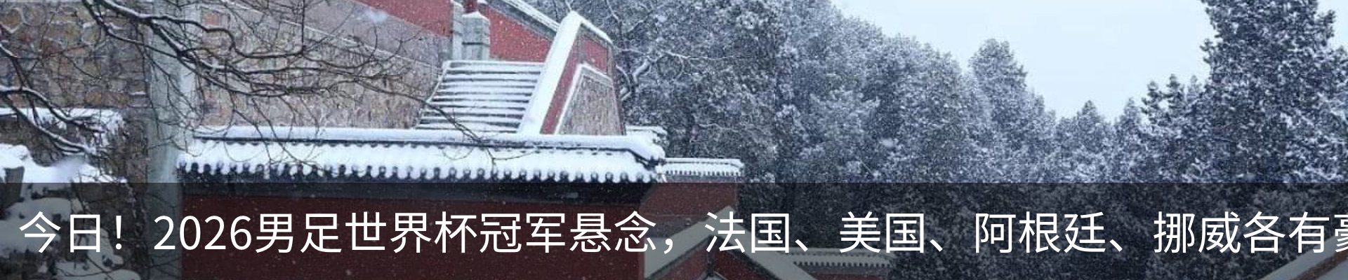 资讯动态